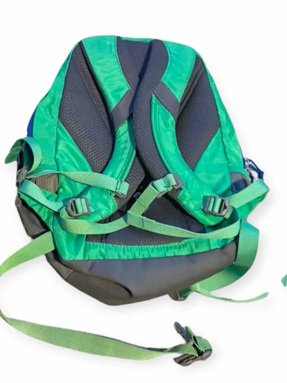 REI sprig 12